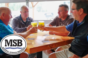 Mineral Springs Brewery